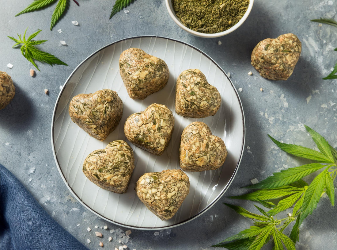 Decoding Protein Bars: What to Look for and What to Avoid - Hemptyful
