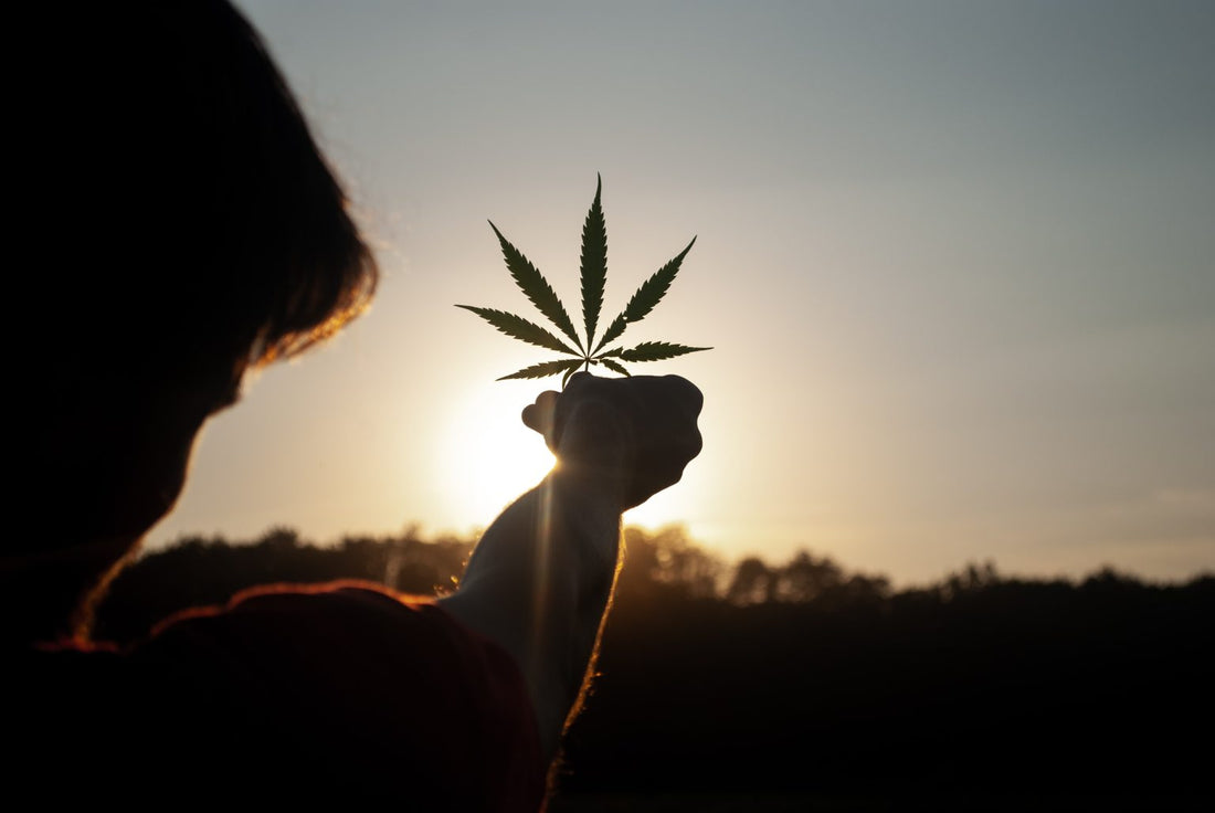 7 Incredible Uses Of Hemp - Hemptyful