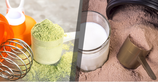 Hemp Protein Vs Whey Protein - Hemptyful