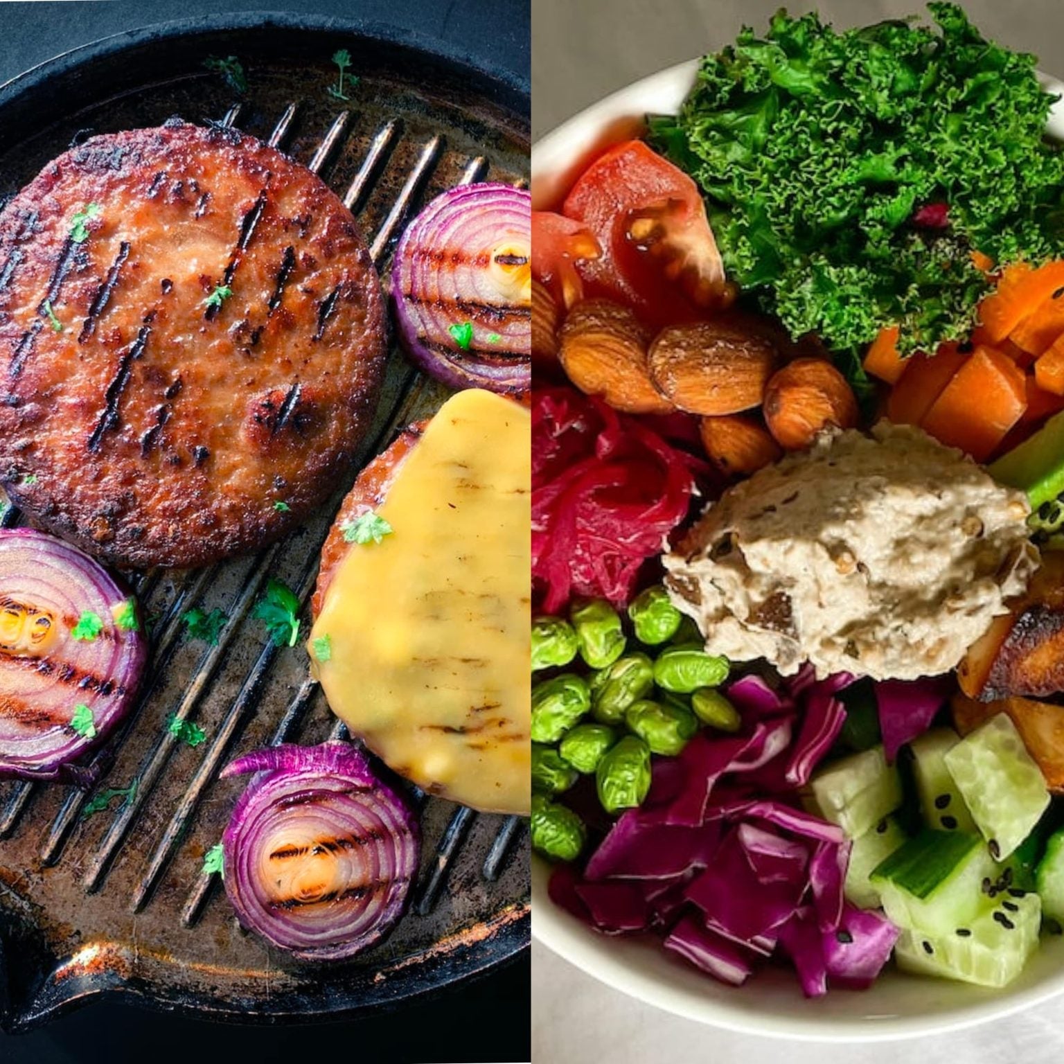 How Is Protein From Plant Sources Healthier For You Compared To Protein From Animal Sources?