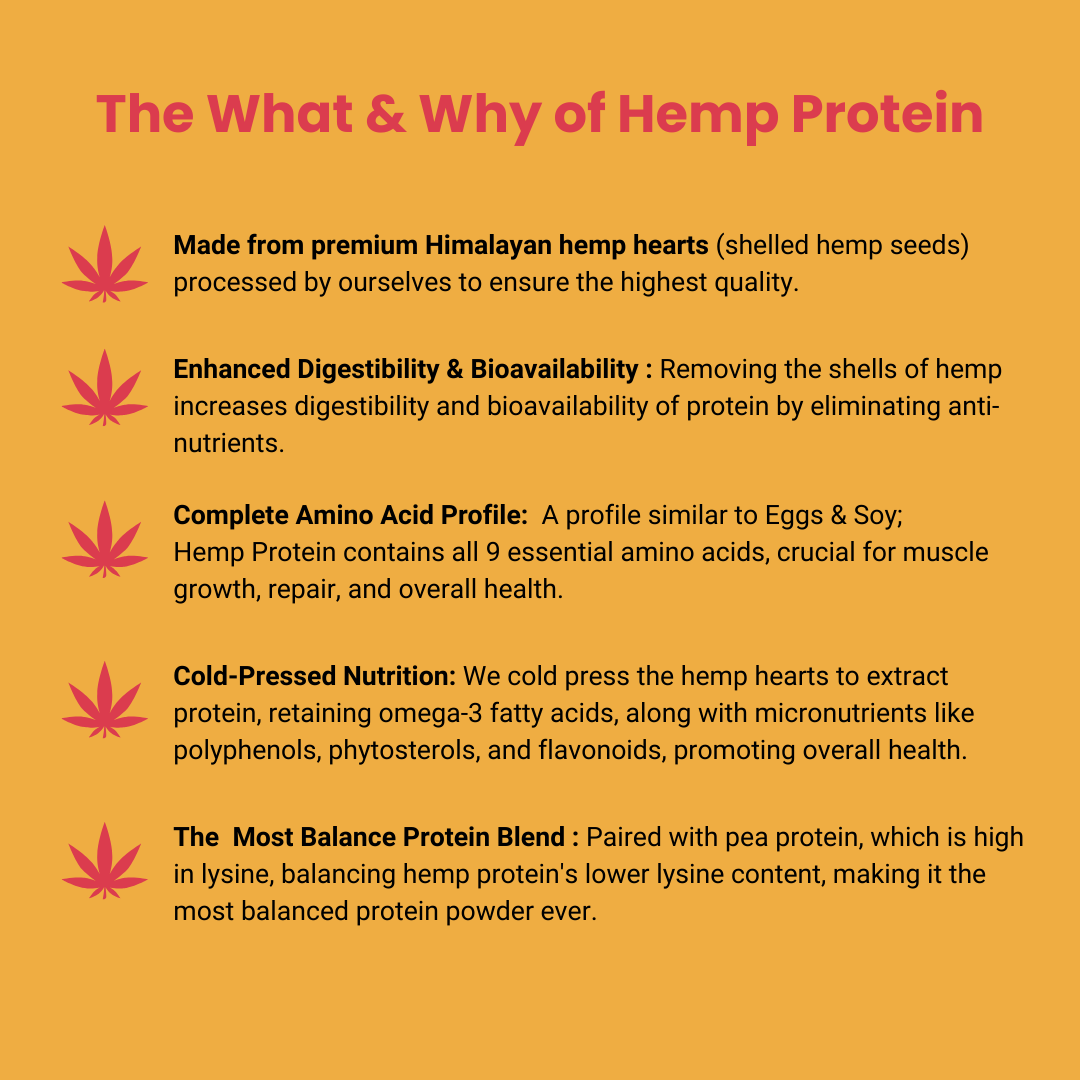 Balanced Plant Protein (Blend of Hemp & Pea) Trial Pack - Hemptyful