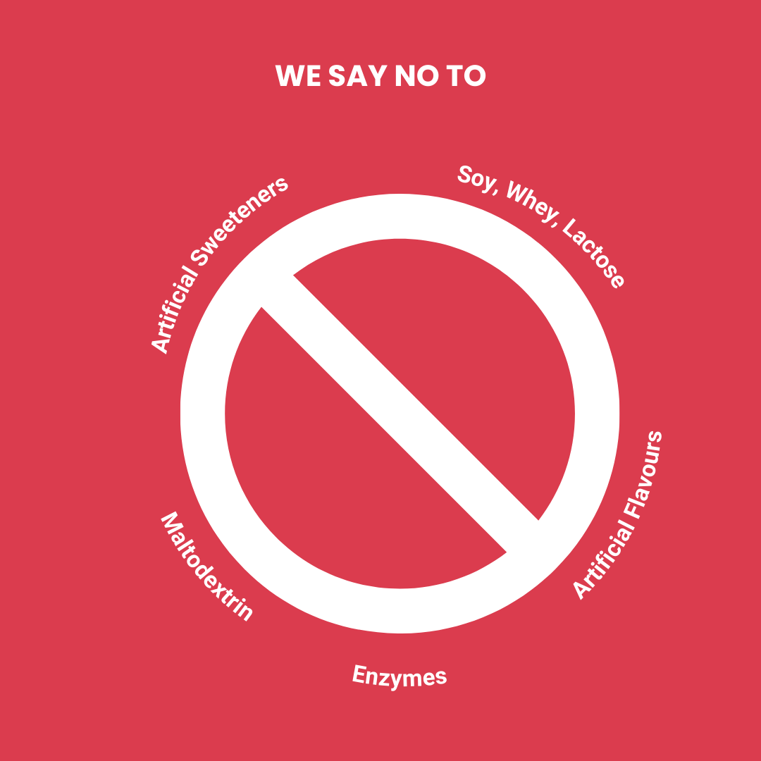 Balanced Plant Protein (Blend of Hemp & Pea) Trial Pack - Hemptyful